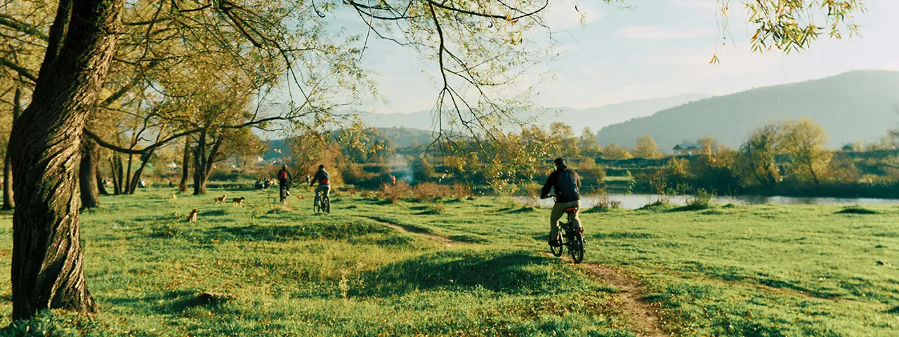 banner image of the latest blog post