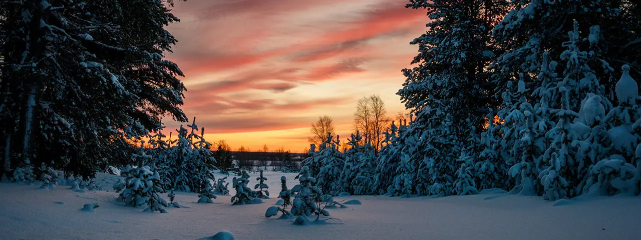 banner image of the latest blog post