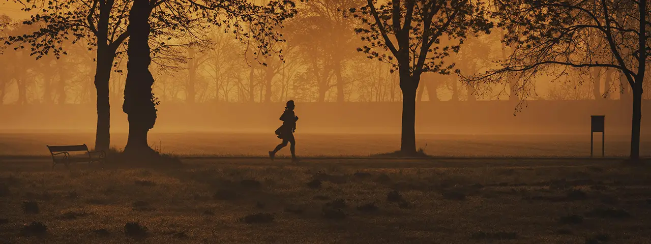 banner image of the latest blog post