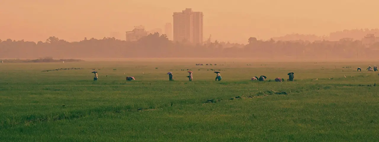 banner image of the latest blog post