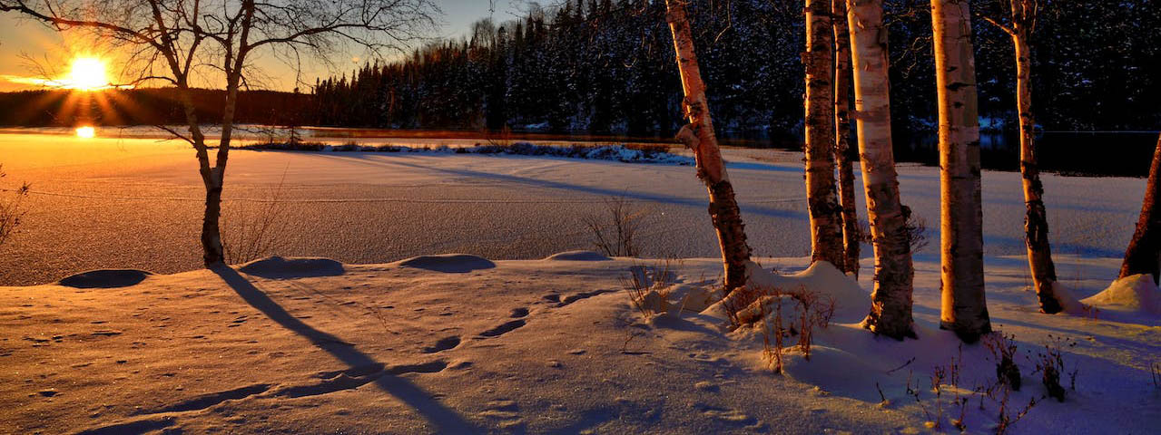 Snowy Field during Golden Hour