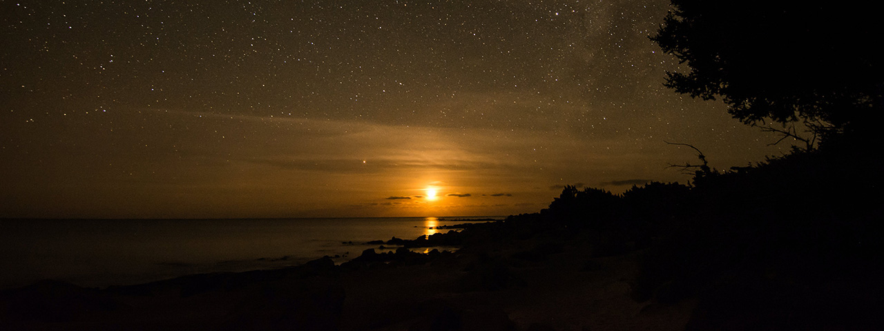 Calm Ocean on a Starry Sky