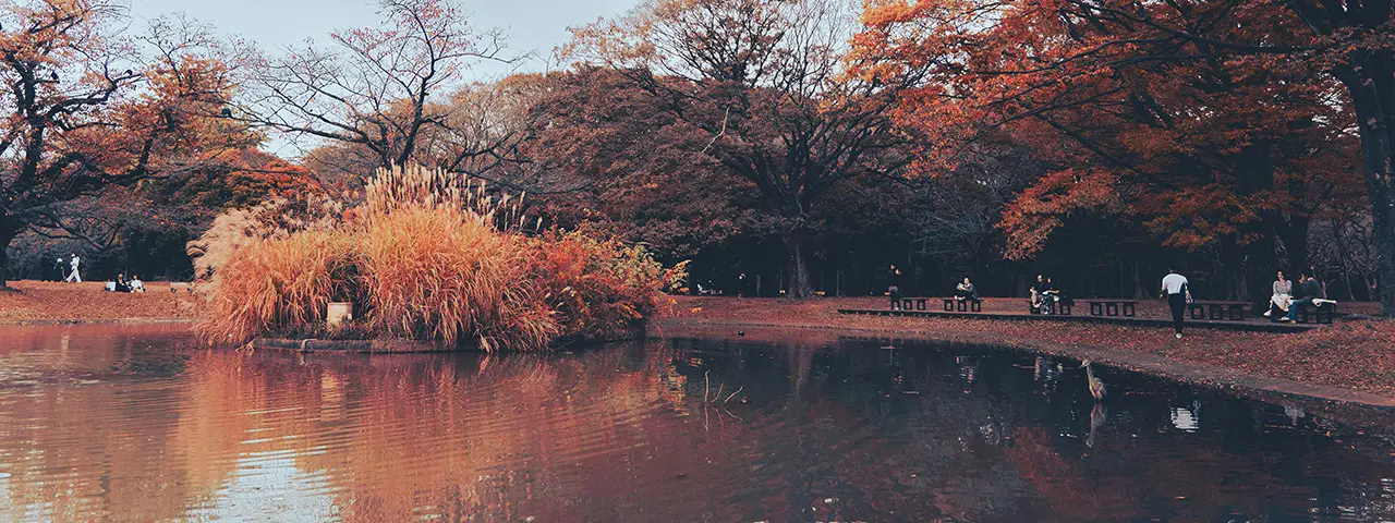 banner image of the latest blog post